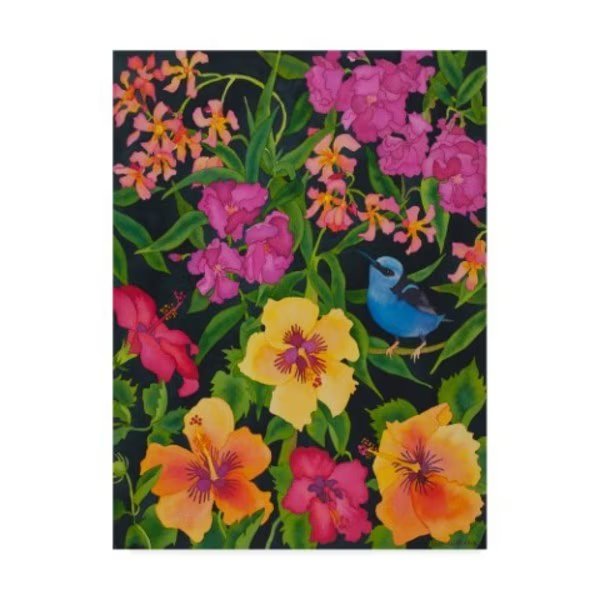 Carissa Luminess 'Starlight Magic' Canvas Art, 14x19, Trademark Fine Art, Mfr#: ALI25794-C1419GG